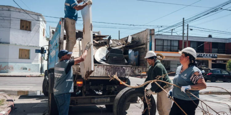 Imagen de un mosquito Aedes aegypti, transmisor del dengue