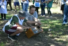 Animales silvestres siendo liberados en Bahía de Ansenuza