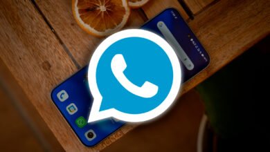 Imagen de la pantalla de WhatsApp Plus con opciones de personalización