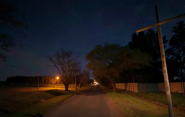 Imagen de un patrullero policial en una calle oscura