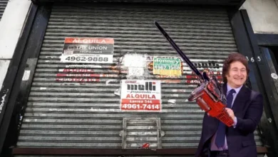 Gráficos de la economía argentina en caída