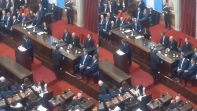 Germán Martínez y Martín Menem en la Asamblea Legislativa