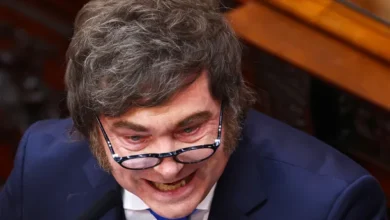 Javier Milei en el Congreso de la Nación