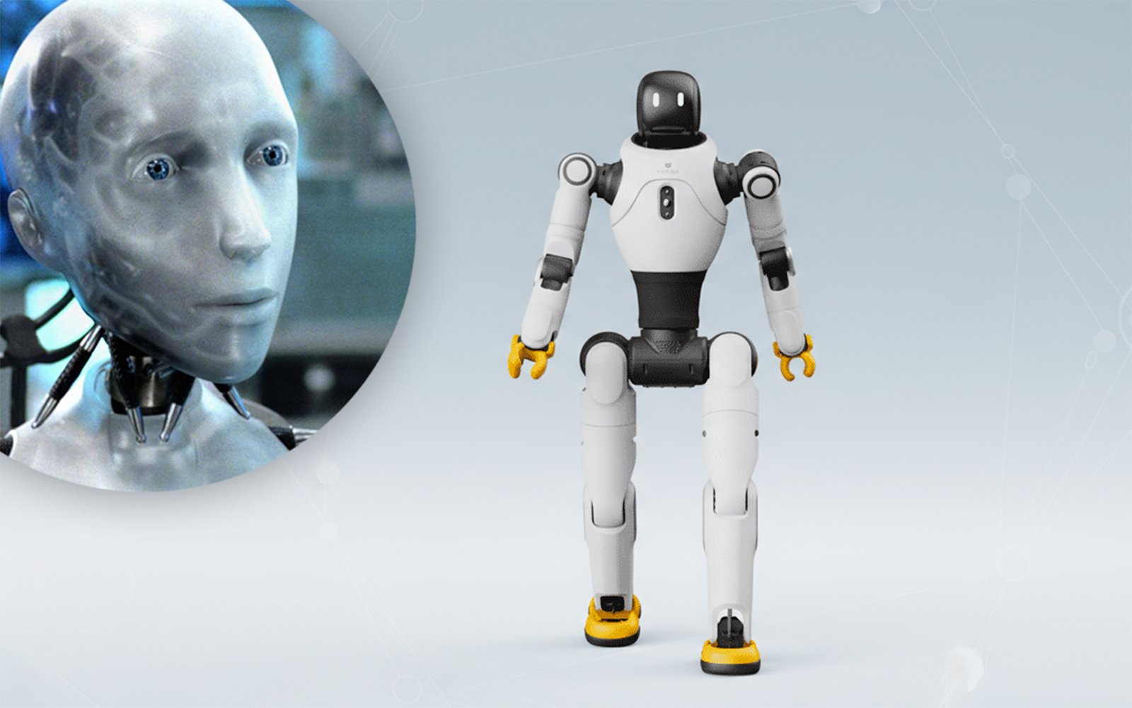 Un robots bailarines en un restaurante de hot pot en California que se sale de control y debe ser contenido por los empleados.