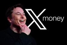 Imagen de la interfaz de X Money