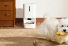 Comedor inteligente Xiaomi con cámara para mascotas