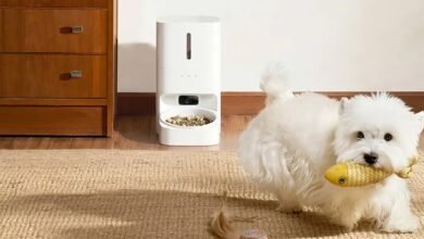 Comedor inteligente Xiaomi con cámara para mascotas