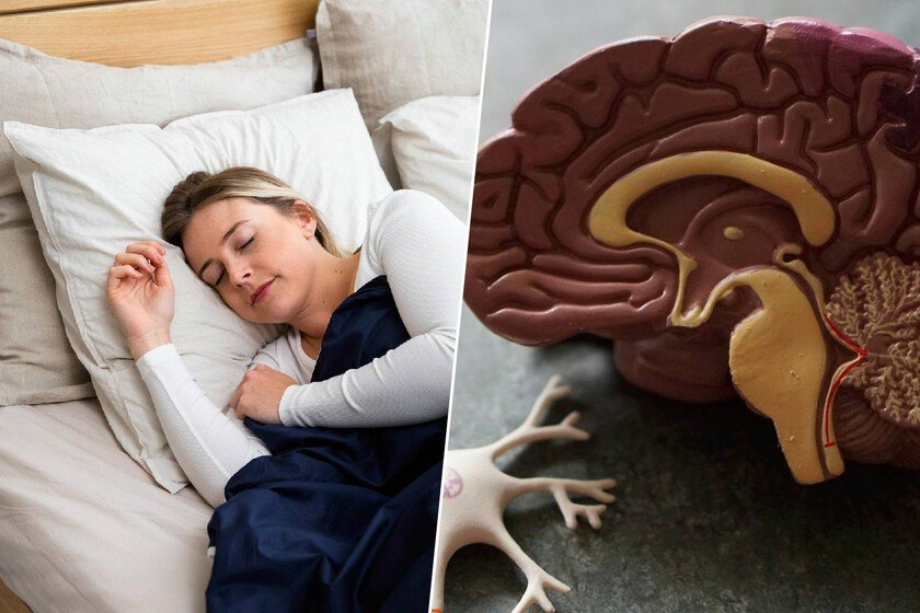 Imagen de una persona durmiendo, con un cerebro iluminado en el fondo, simbolizando el vínculo entre el sueño y la salud cerebral