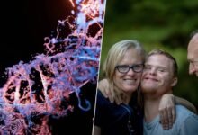 Imagen de un cromosoma humano