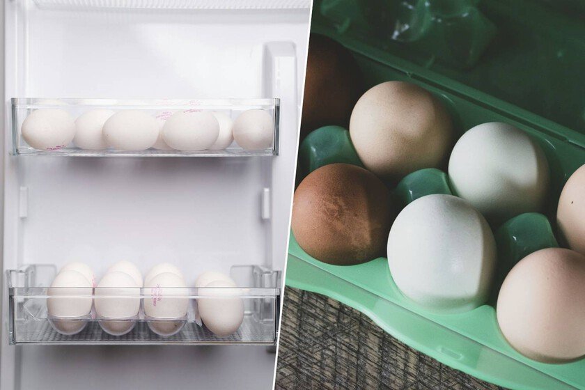 Huevos en una nevera