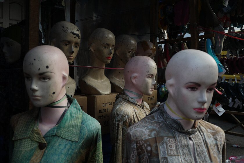 Imagen de una persona con cabello saludable