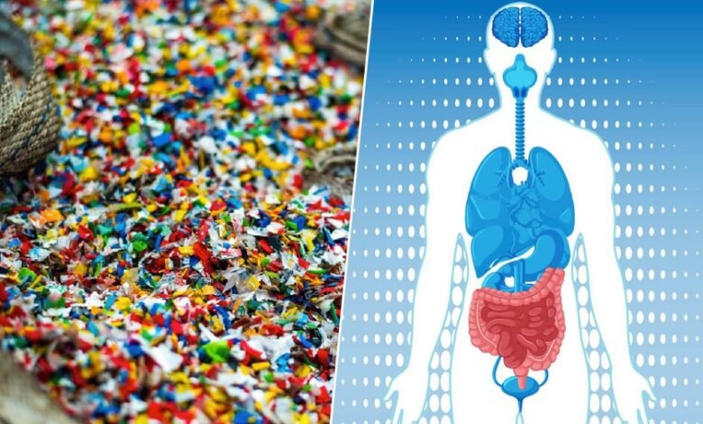 Imagen de microplásticos en el intestino humano