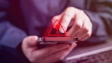 Imagen de un carnet de conducir y un DNI