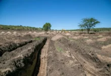 Imagen de la entrada del predio de La Perla, donde se llevarán a cabo las excavaciones