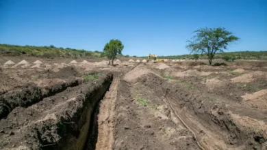 Imagen de la entrada del predio de La Perla, donde se llevarán a cabo las excavaciones