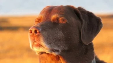 Imagen de un parque en Córdoba con personas disfrutando del sol