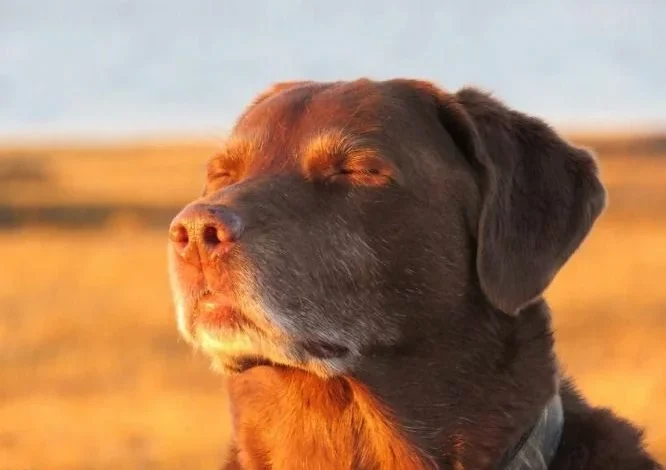 Imagen de un parque en Córdoba con personas disfrutando del sol