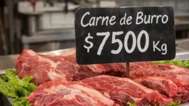 Carne de burro en una carnicería de Trelew, Chubut
