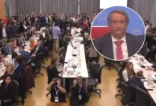 Nicolás Mayoraz en una sesión de Diputados