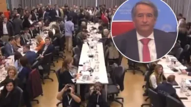 Nicolás Mayoraz en una sesión de Diputados