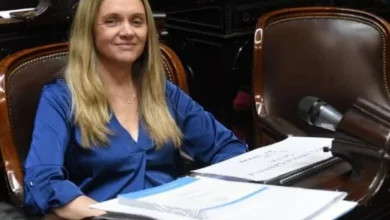 Diputada Gabriela Flores