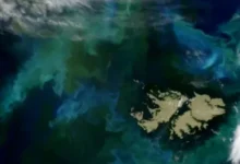 Mapa de las Islas Malvinas