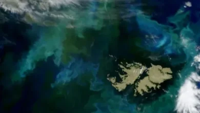 Mapa de las Islas Malvinas