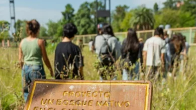 Investigadores trabajando en laboratorio de la Universidad Provincial de Córdoba