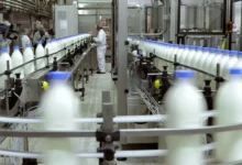 Imagen de una vaca lechera en un campo