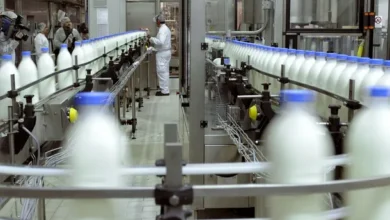 Imagen de una vaca lechera en un campo