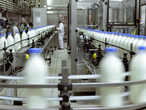 Imagen de una vaca lechera en un campo