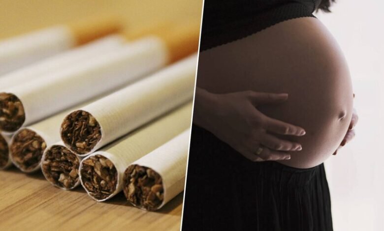 Imagen de una mujer embarazada sosteniendo una planta, simbolizando la fertilidad y el cuidado de la salud reproductiva.