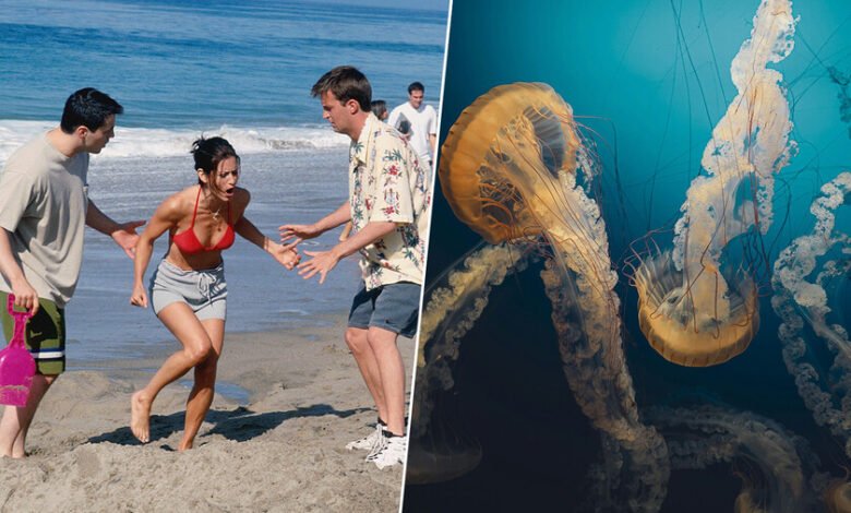 Una persona con una picadura de medusa en la pierna