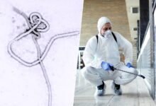La OMS alerta de un nuevo brote de ébola en la RDC