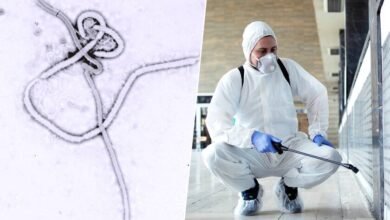 La OMS alerta de un nuevo brote de ébola en la RDC