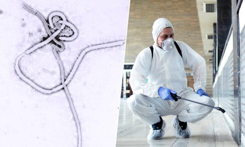 La OMS alerta de un nuevo brote de ébola en la RDC