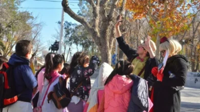 Imagen de estudiantes en una salida escolar