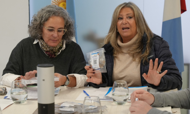 Imagen de una huerta escolar en Córdoba, con estudiantes y docentes trabajando juntos.