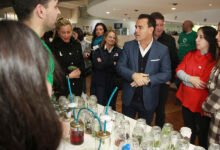 Imágenes de la celebración del Día de las Plantas y de los Museos en Córdoba