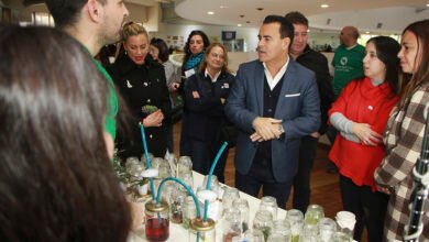 Imágenes de la celebración del Día de las Plantas y de los Museos en Córdoba