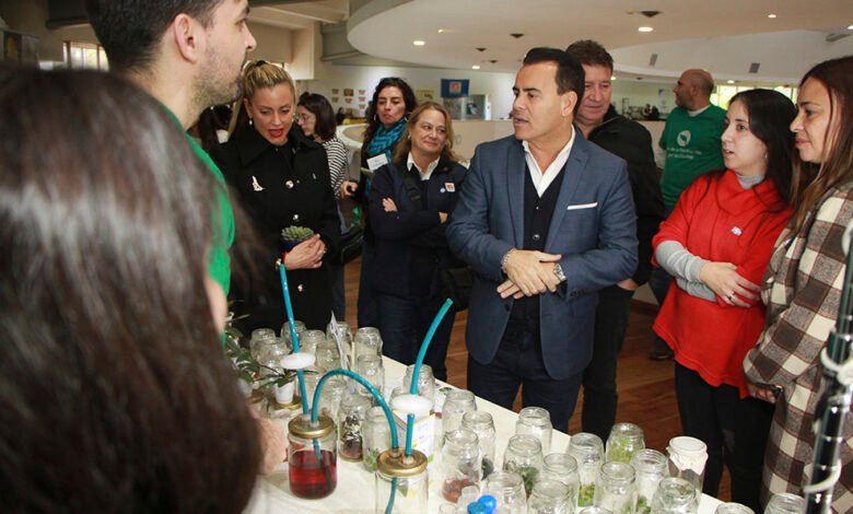 Imágenes de la celebración del Día de las Plantas y de los Museos en Córdoba
