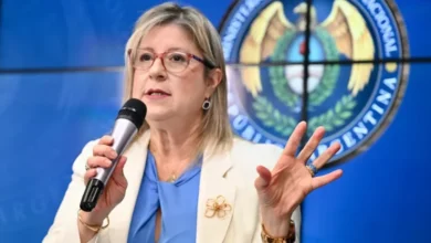 Mesa de coordinación para la seguridad de inversiones estratégicas en el RIGI