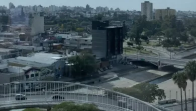 Imagen de una persona caminando en un parque con neblina