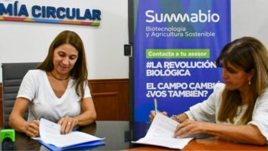 Imagen de una planta creciendo en un suelo fértil, simbolizando la biodiversidad y el uso sostenible de los recursos naturales.