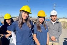 Estudiantes en prácticas formativas en una empresa