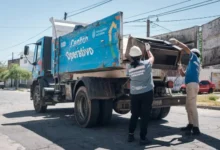 Imagen de un mosquito Aedes aegypti, transmisor del dengue