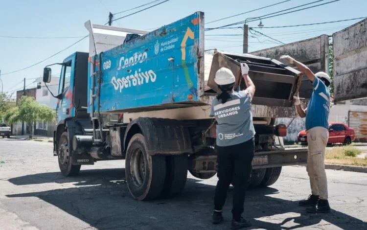 Imagen de un mosquito Aedes aegypti, transmisor del dengue