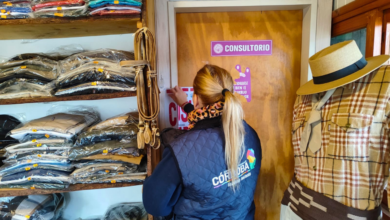 Imagen de un veterinario revisando productos en un comercio