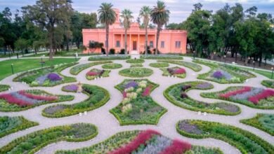 Imagen de la muestra colectiva 'Bestiario' en el Centro de Arte Contemporáneo Chateau Antonio Seguí