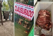 Imagen de un operativo contra el faenamiento clandestino en Hernando